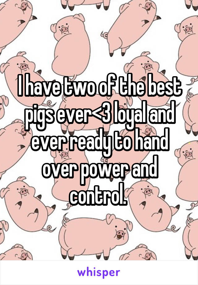 I have two of the best pigs ever<3 loyal and ever ready to hand over power and control. 