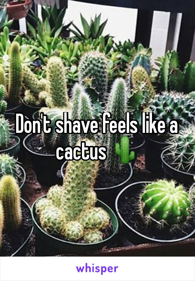 Don't shave feels like a cactus 🌵 