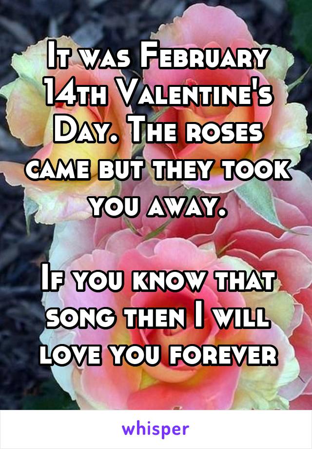 It was February 14th Valentine's Day. The roses came but they took you away.

If you know that song then I will love you forever
