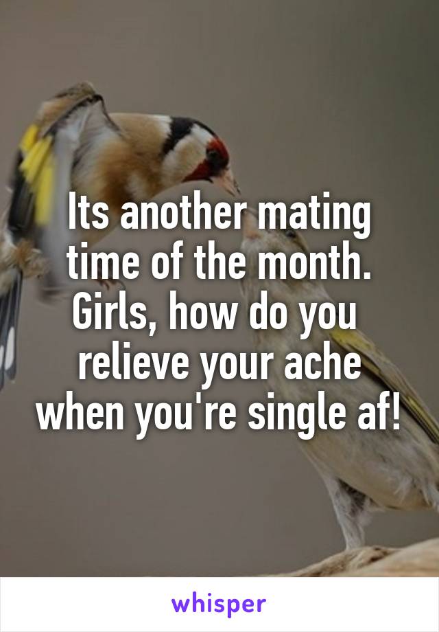 Its another mating time of the month. Girls, how do you  relieve your ache when you're single af!