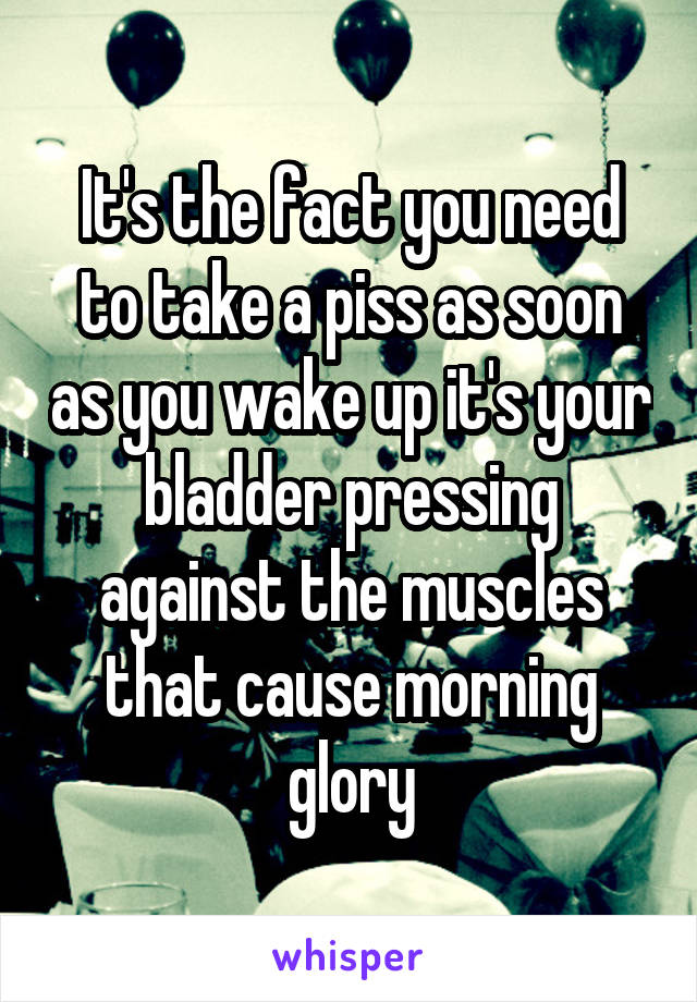 It's the fact you need to take a piss as soon as you wake up it's your bladder pressing against the muscles that cause morning glory