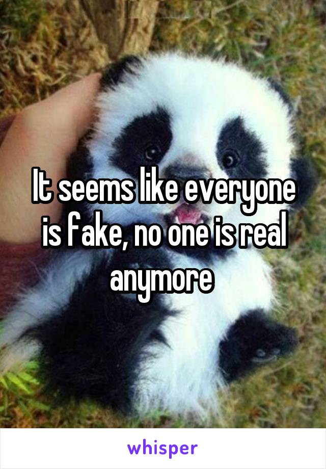 It seems like everyone is fake, no one is real anymore 