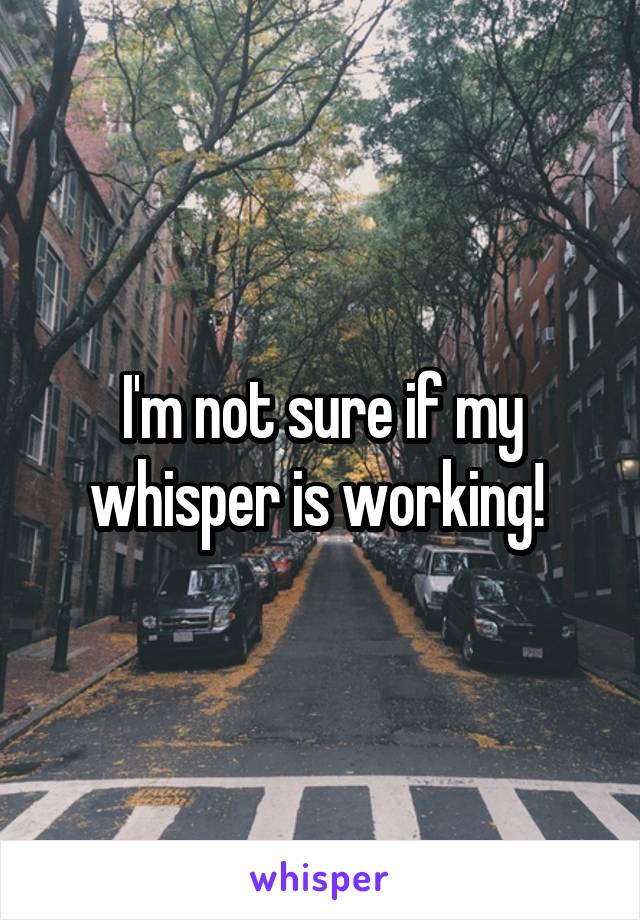 I'm not sure if my whisper is working! 