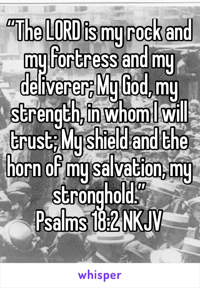 “The LORD is my rock and my fortress and my deliverer; My God, my strength, in whom I will trust; My shield and the horn of my salvation, my stronghold.”
‭‭Psalms‬ ‭18:2‬ ‭NKJV‬‬
