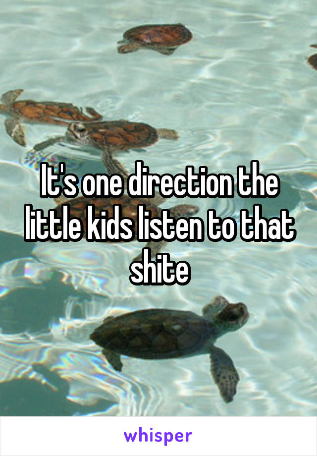 It's one direction the little kids listen to that shite