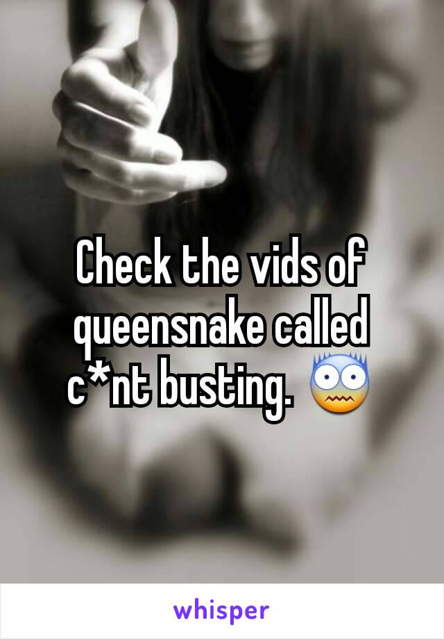 Check the vids of queensnake called c*nt busting. 😨