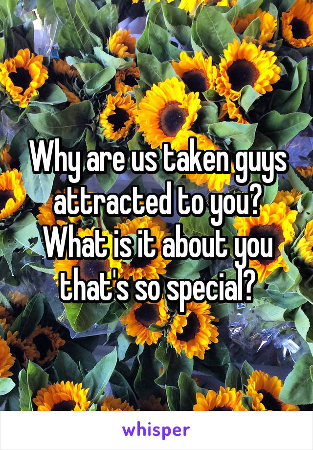 Why are us taken guys attracted to you? What is it about you that's so special?