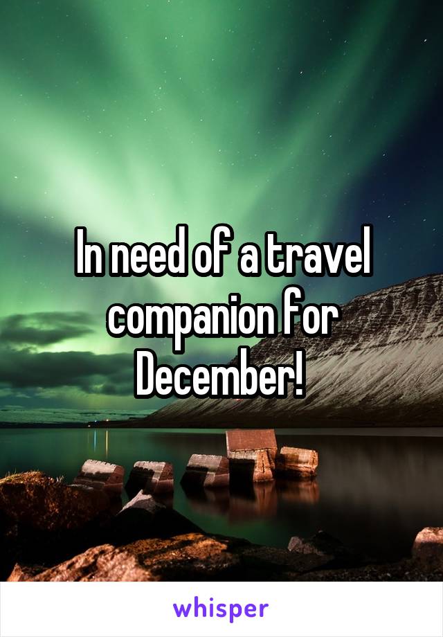 In need of a travel companion for December! 