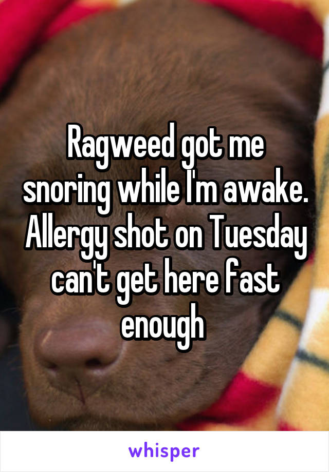 Ragweed got me snoring while I'm awake. Allergy shot on Tuesday can't get here fast enough 