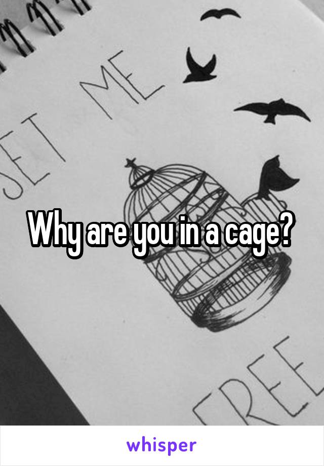 Why are you in a cage? 
