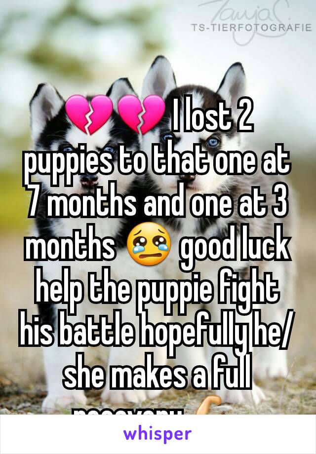 💔💔 I lost 2 puppies to that one at 7 months and one at 3 months 😢 good luck help the puppie fight his battle hopefully he/she makes a full recovery 💪