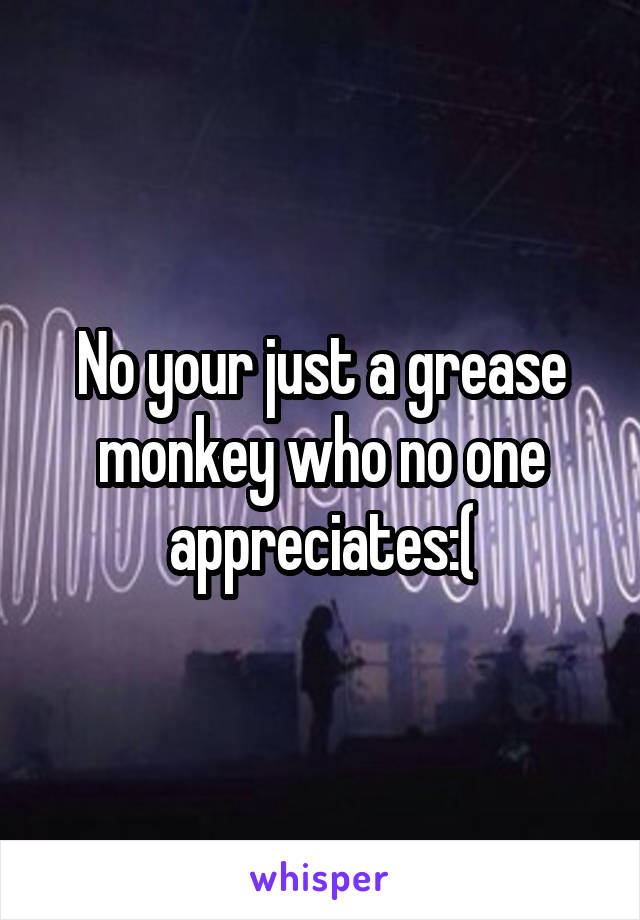 No your just a grease monkey who no one appreciates:(