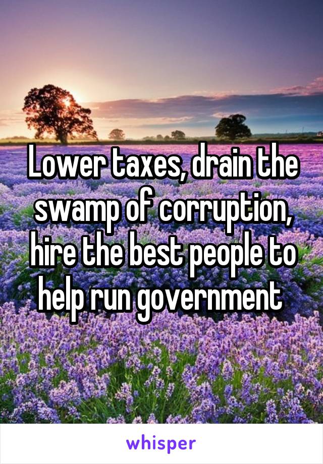 Lower taxes, drain the swamp of corruption, hire the best people to help run government 