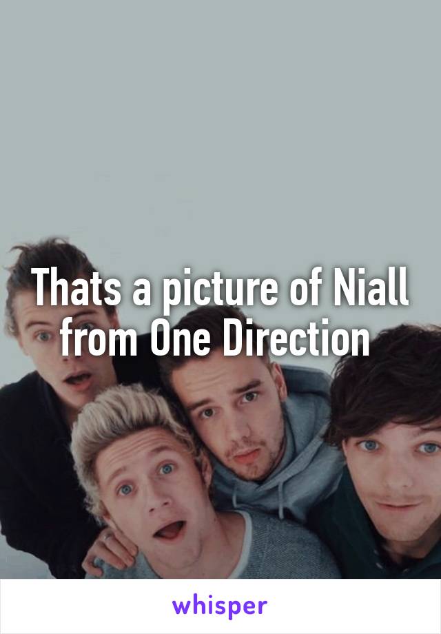 Thats a picture of Niall from One Direction 