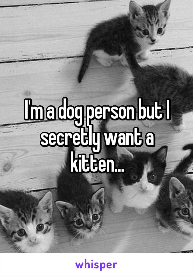 I'm a dog person but I secretly want a kitten...