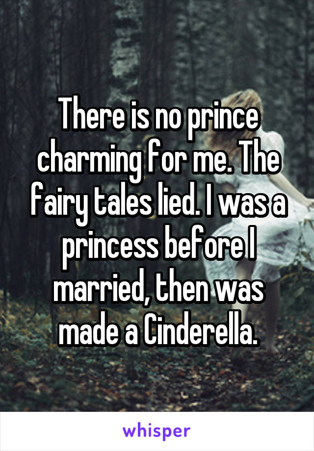 There is no prince charming for me. The fairy tales lied. I was a princess before I married, then was made a Cinderella.