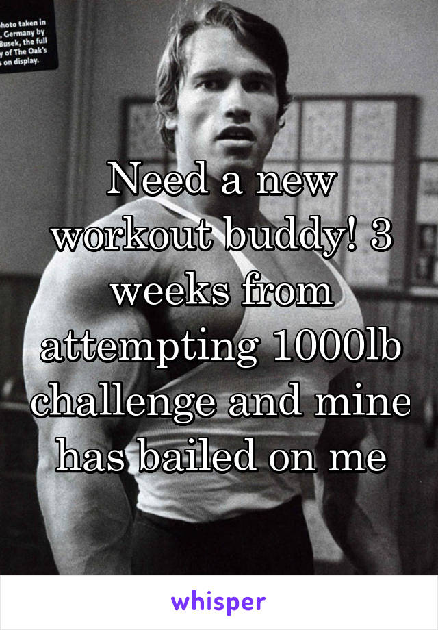 Need a new workout buddy! 3 weeks from attempting 1000lb challenge and mine has bailed on me
