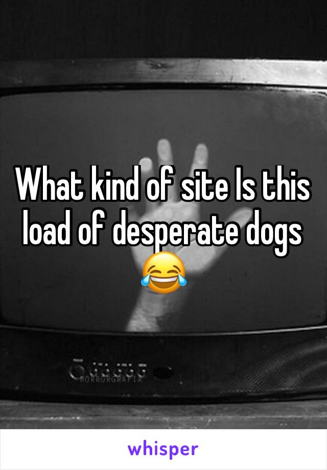 What kind of site Is this load of desperate dogs 😂