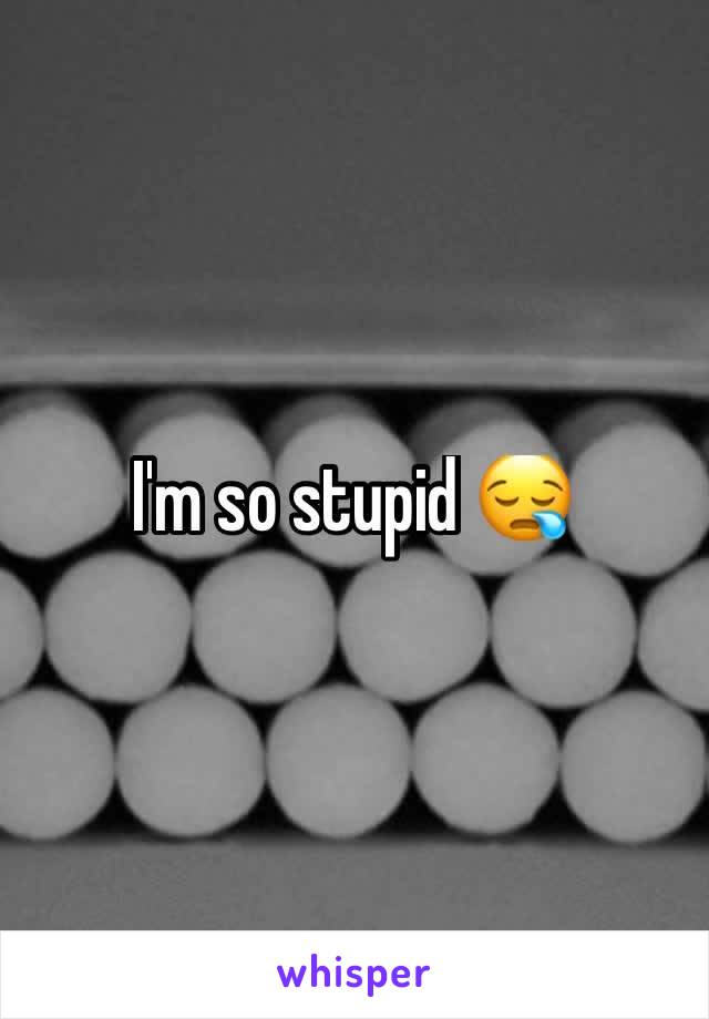 I'm so stupid 😪
