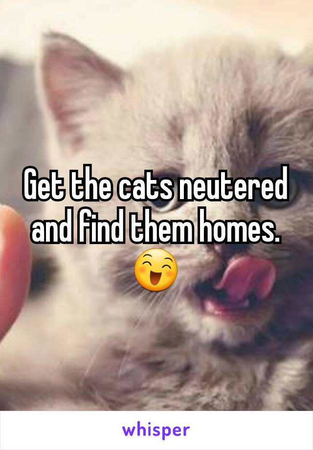 Get the cats neutered and find them homes. 😄