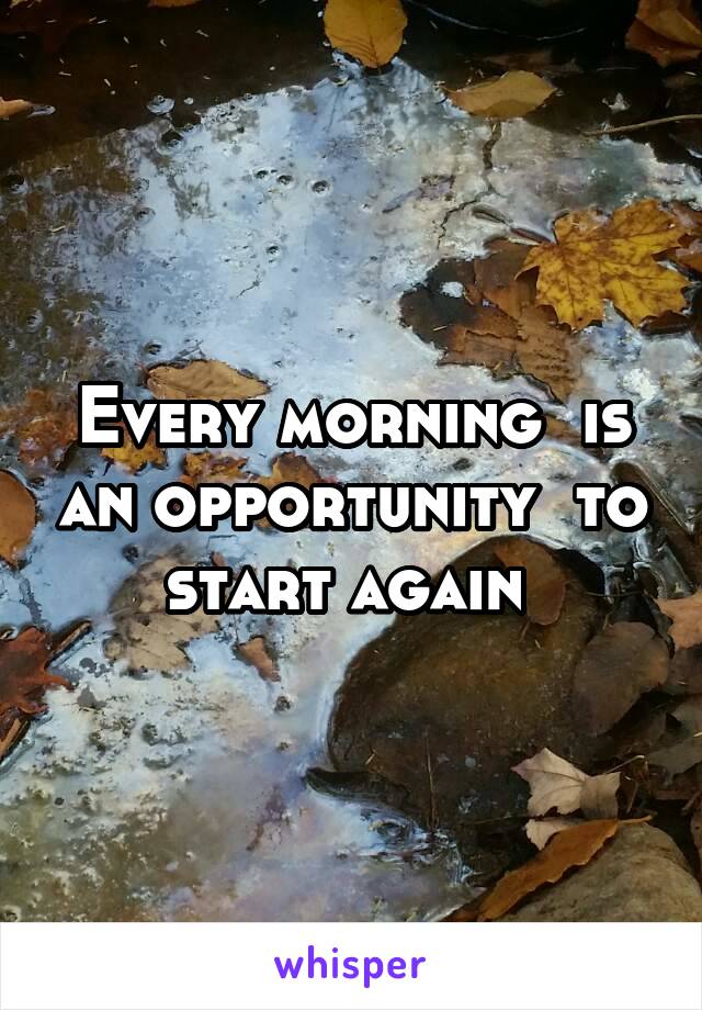 Every morning  is an opportunity  to start again 