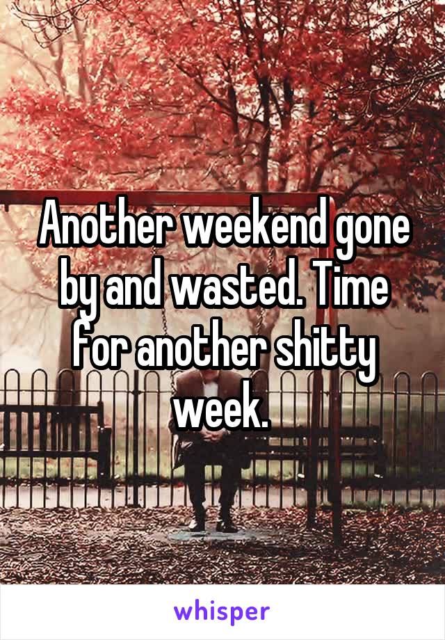 Another weekend gone by and wasted. Time for another shitty week. 