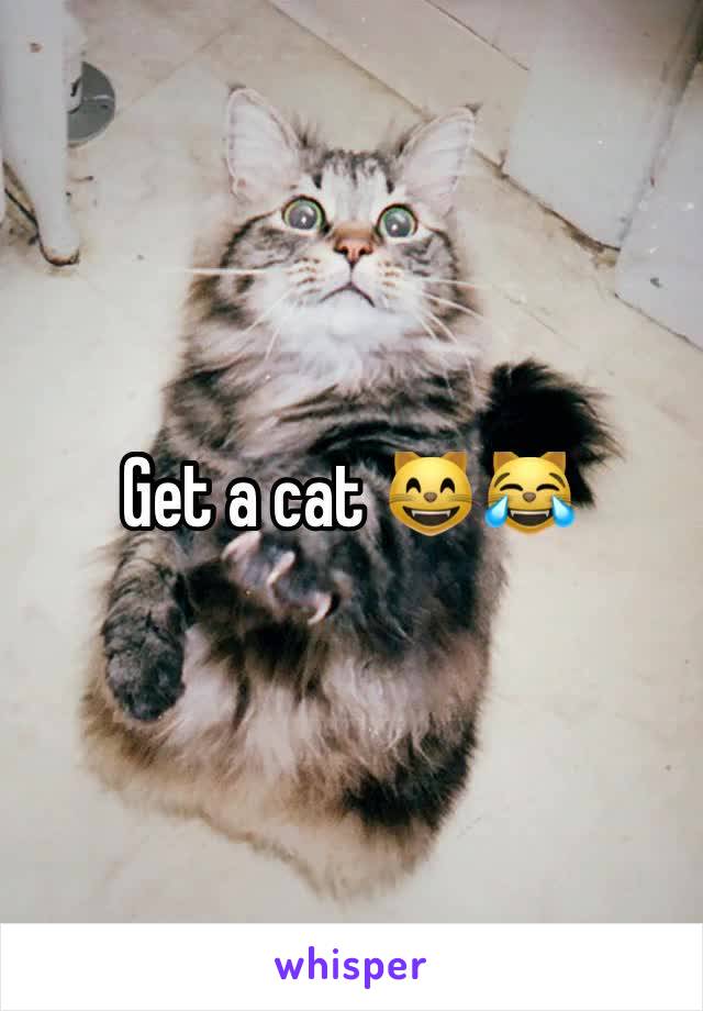 Get a cat 😸😹