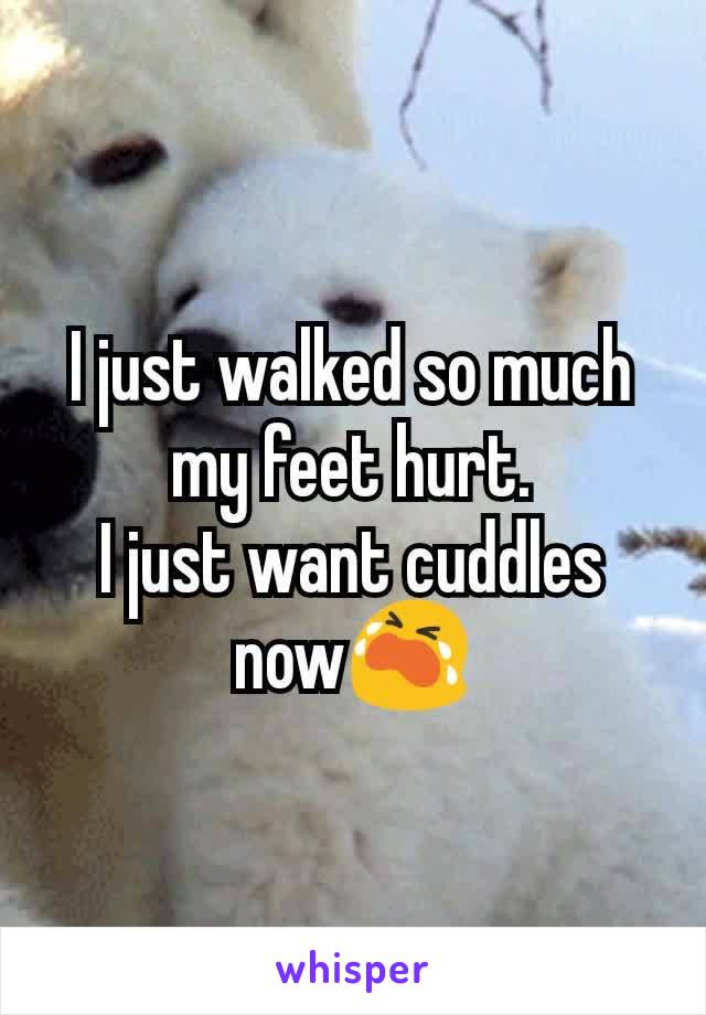 I just walked so much my feet hurt.
I just want cuddles now😭