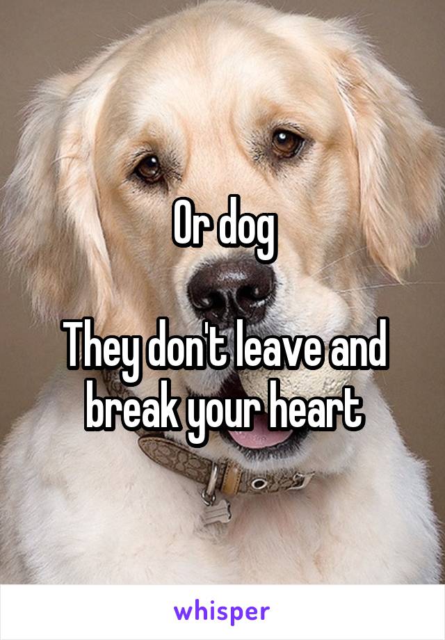 Or dog

They don't leave and break your heart