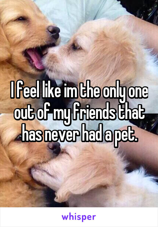 I feel like im the only one out of my friends that has never had a pet.