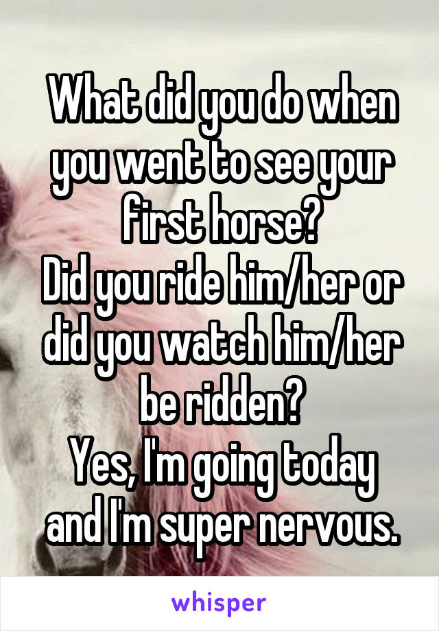 What did you do when you went to see your first horse?
Did you ride him/her or did you watch him/her be ridden?
Yes, I'm going today and I'm super nervous.