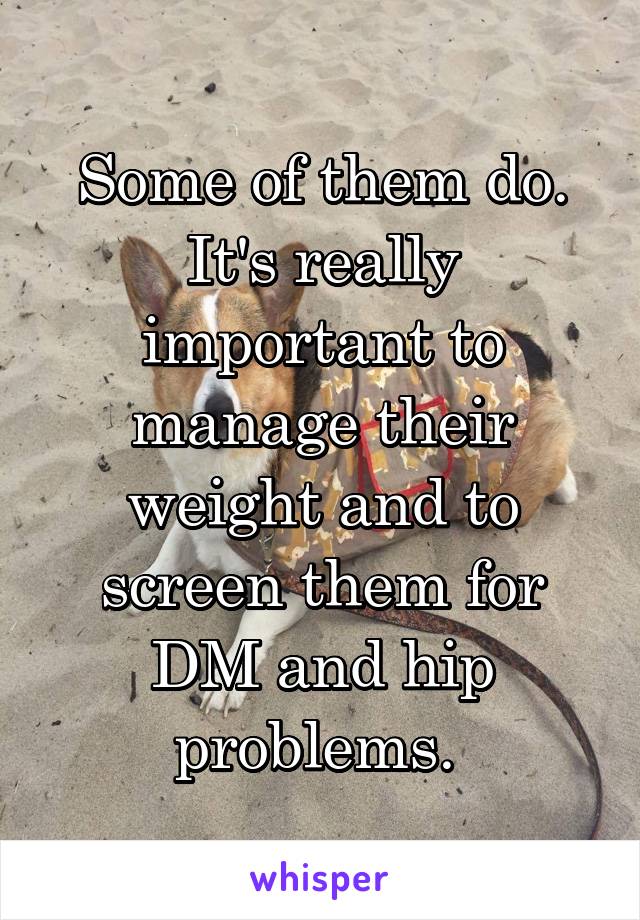 Some of them do. It's really important to manage their weight and to screen them for DM and hip problems. 