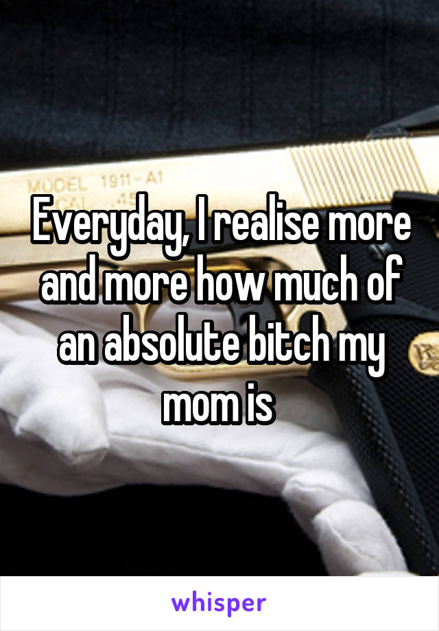 Everyday, I realise more and more how much of an absolute bitch my mom is 