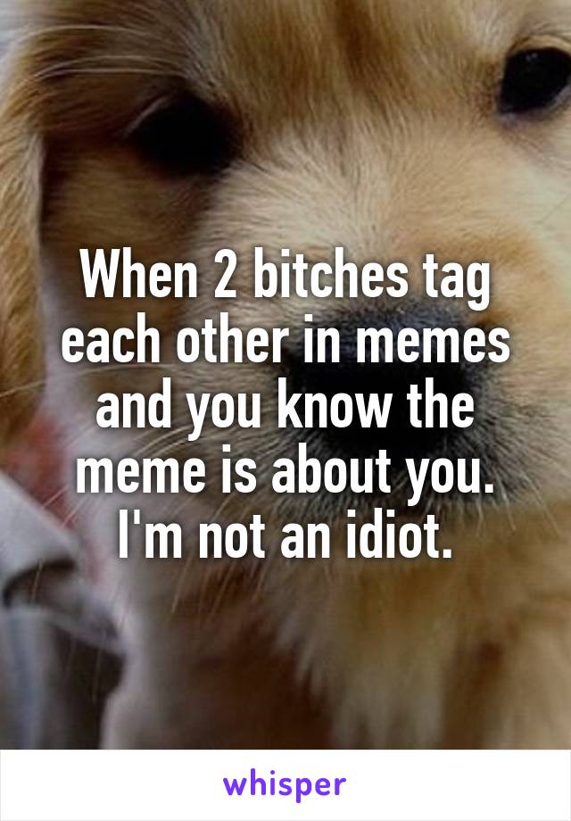 When 2 bitches tag each other in memes and you know the meme is about you. I'm not an idiot.