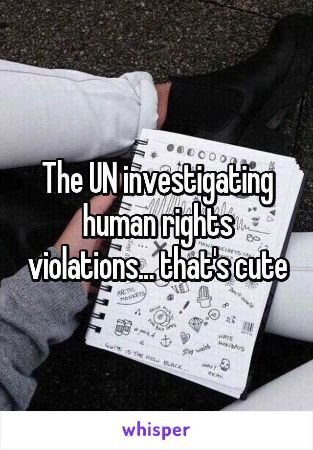 The UN investigating human rights violations... that's cute