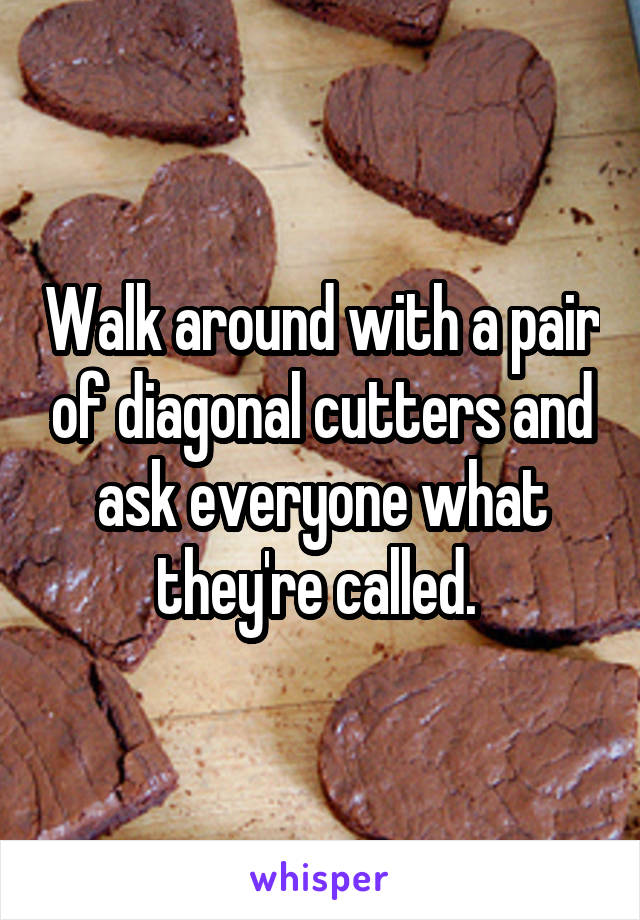 Walk around with a pair of diagonal cutters and ask everyone what they're called. 