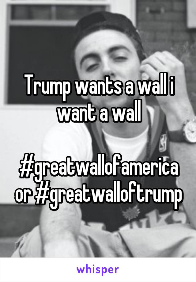 Trump wants a wall i want a wall

#greatwallofamerica or #greatwalloftrump