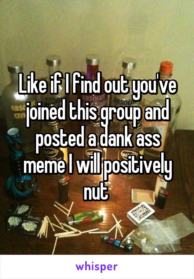 Like if I find out you've joined this group and posted a dank ass meme I will positively nut 