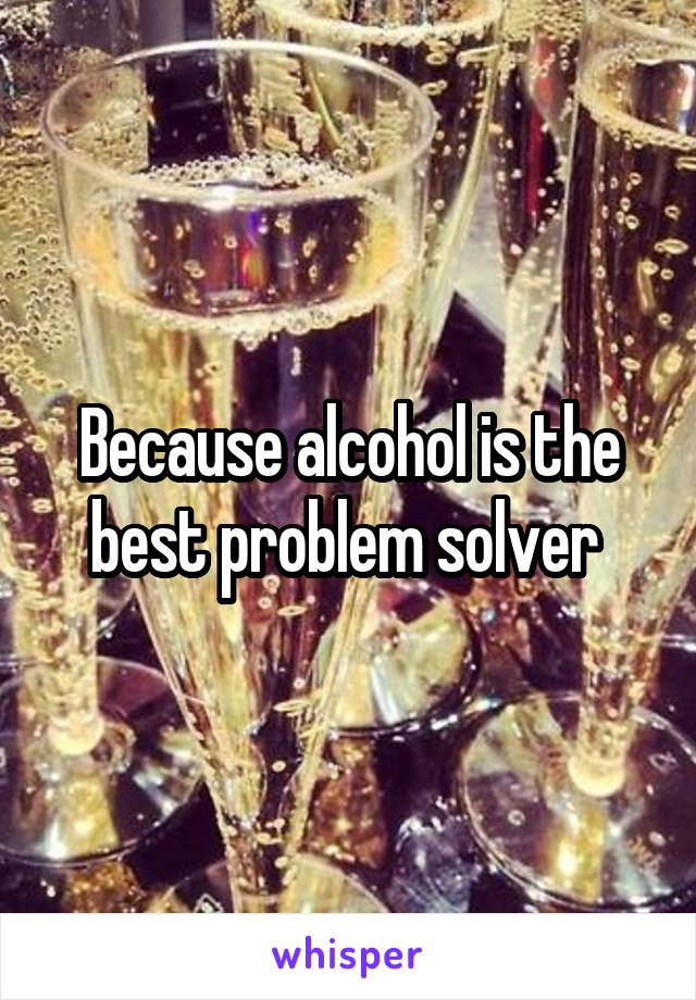 Because alcohol is the best problem solver 