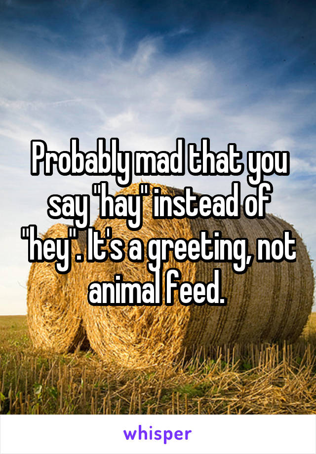 Probably mad that you say "hay" instead of "hey". It's a greeting, not animal feed. 