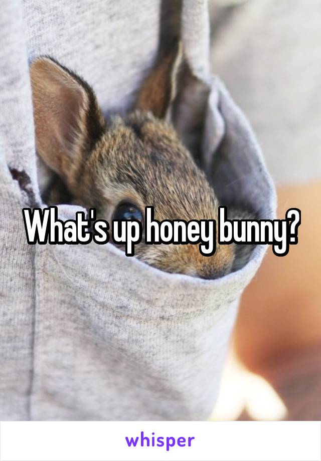 What's up honey bunny?