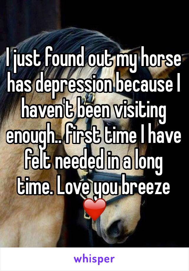I just found out my horse has depression because I haven't been visiting enough.. first time I have felt needed in a long time. Love you breeze ❤️