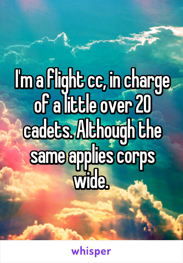 I'm a flight cc, in charge of a little over 20 cadets. Although the same applies corps wide. 