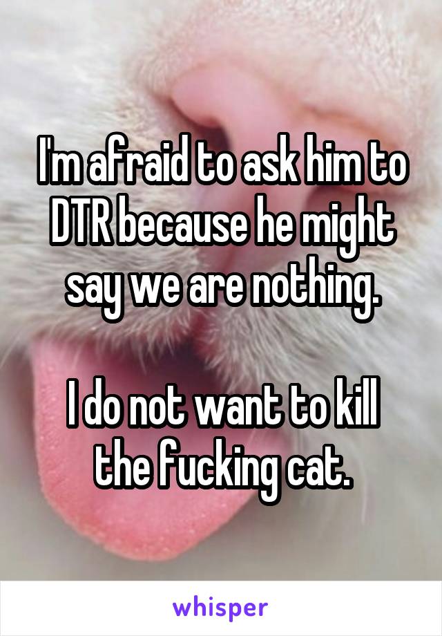 I'm afraid to ask him to DTR because he might say we are nothing.

I do not want to kill the fucking cat.