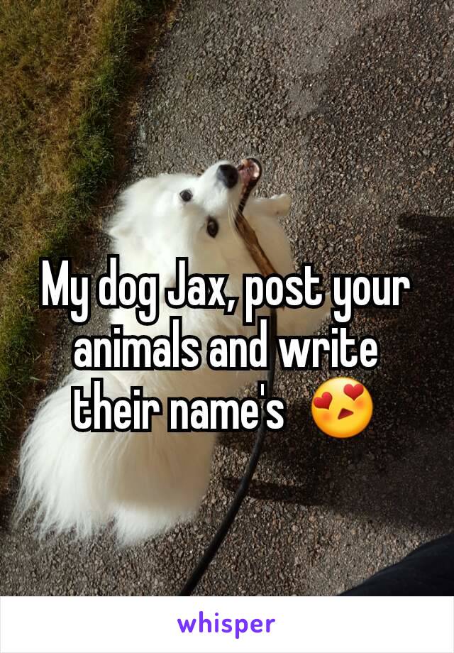 My dog Jax, post your animals and write their name's  😍
