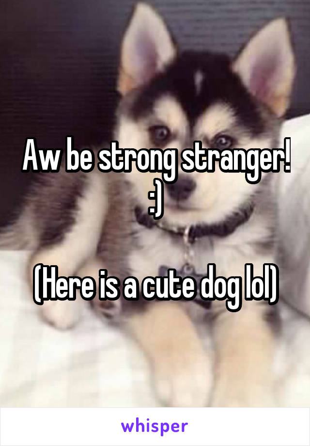 Aw be strong stranger! :)

(Here is a cute dog lol)