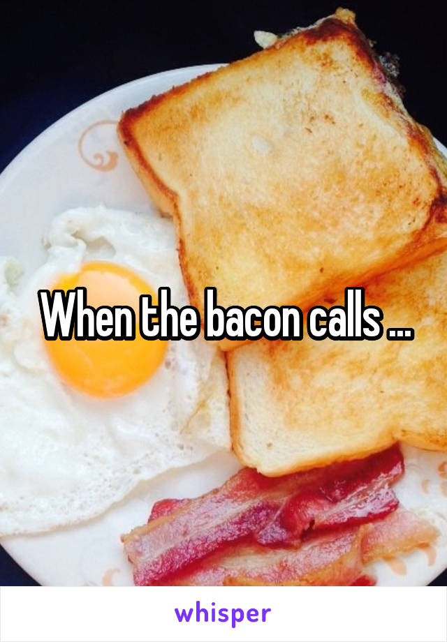 When the bacon calls ...
