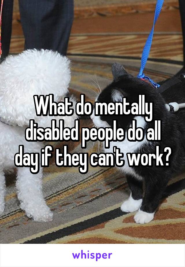 What do mentally disabled people do all day if they can't work?