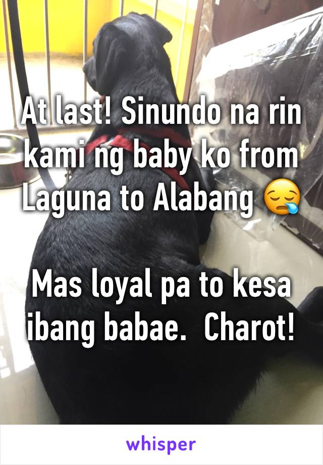 At last! Sinundo na rin kami ng baby ko from Laguna to Alabang 😪 

Mas loyal pa to kesa ibang babae.  Charot! 