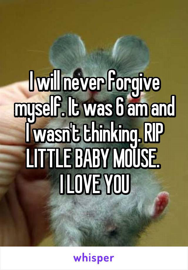 I will never forgive myself. It was 6 am and I wasn't thinking. RIP LITTLE BABY MOUSE. 
I LOVE YOU